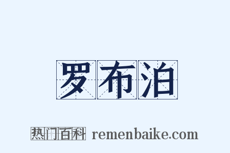 罗布泊是什么意思的图片